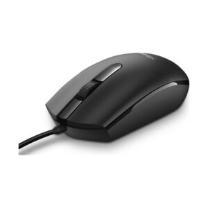 mouse lesson